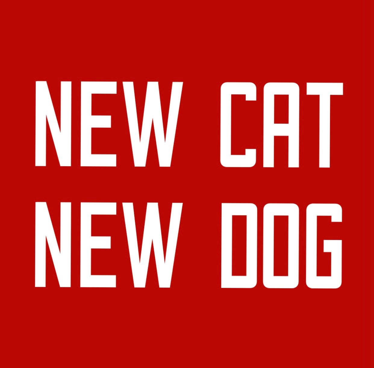 New Cat / New Dog