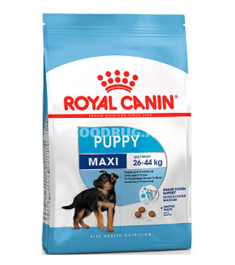 Сухой корм Royal Canin Maxi Pappy для щенков крупных пород со вкусом курицы.