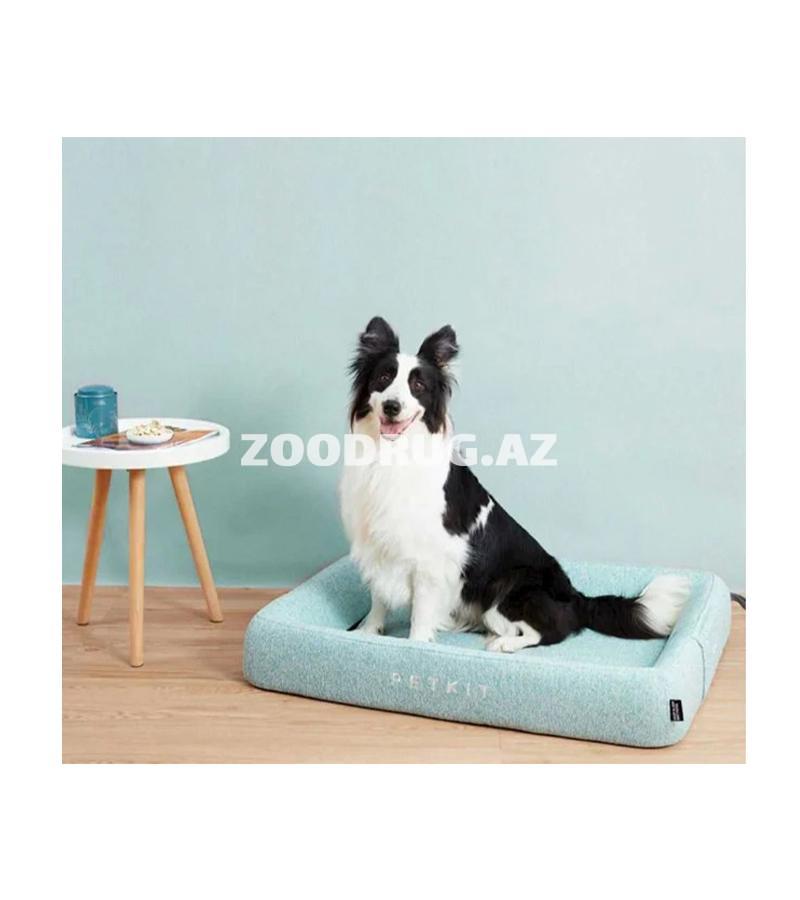 PETKIT yatağı-müasir dizayn, rahatlıq və premium keyfiyyətin ideal birləşməsi