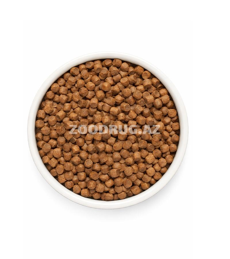 Сухой корм Grandorf Fresh Holistiс Hypoallergenic Dog Adult Mini Fresh Salmon беззерновой для взрослых собак маленьких пород, со вкусом лосося.