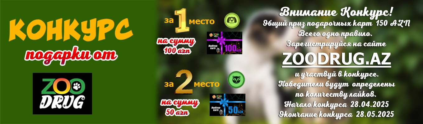 Весна 2025
