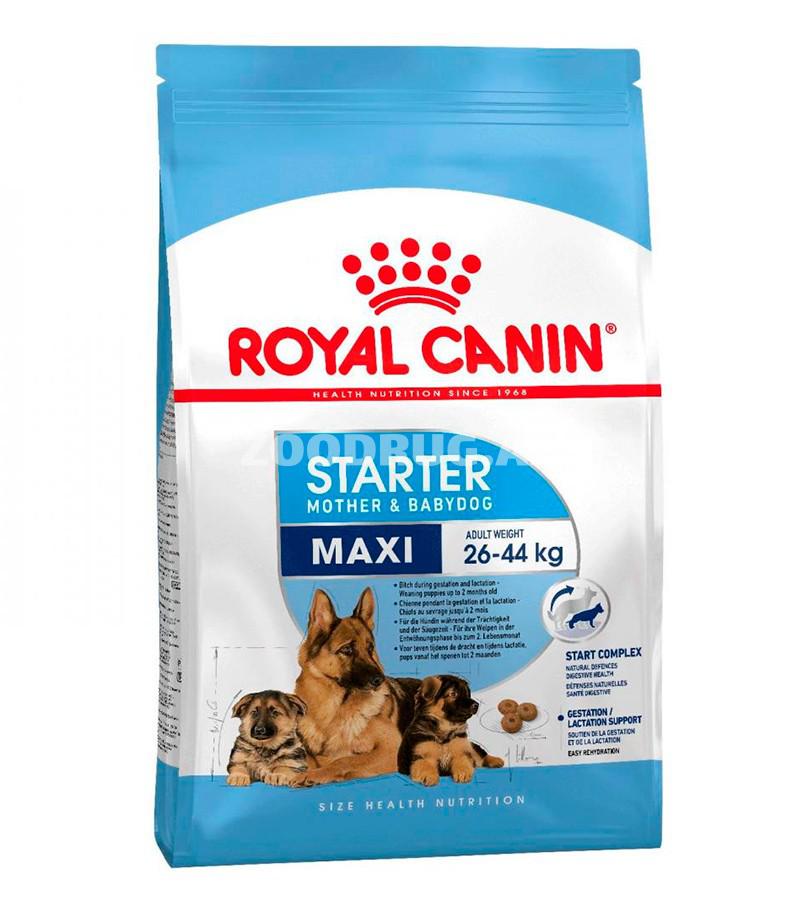 Сухой корм ROYAL CANIN MAXI STARTER для щенков крупных пород до 2 месяцев, беременных и кормящих сук