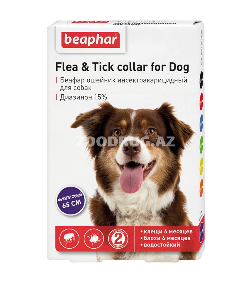 BEAPHAR – Беафар ошейник для собак против блох и клещей, фиолетовый (65 см)