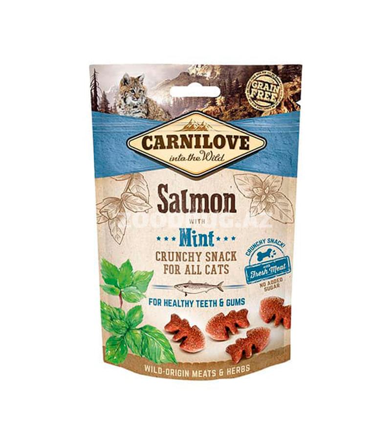 Лакомства Carnilove Cat Crunchy Snack с лососем и мятой для кошек (50 гр)