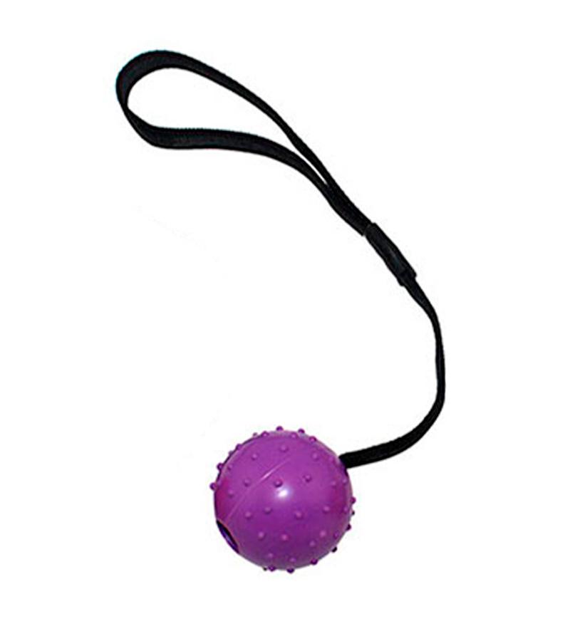 Игрушка O.L.KAR "Мяч с шипами на ленте" для собак. Цвет: Фиолетовый. Диаметр: 6 см. Длинна: 30 см.