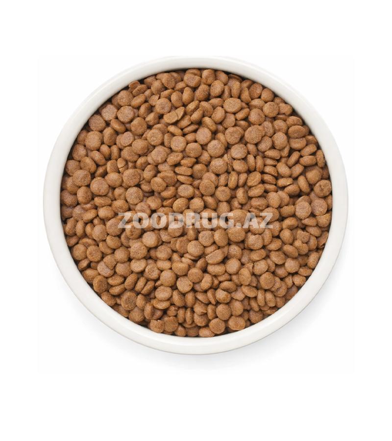 Grandorf Fresh Holistic Hypoallergenic Sterilised Adult Fresh Lamb - kastrasiya olunmuş pişiklər və sterilizasiya olunmuş dişi pişiklər üçün quzu ətli, hipoallergen, dənəsiz holistik quru ye