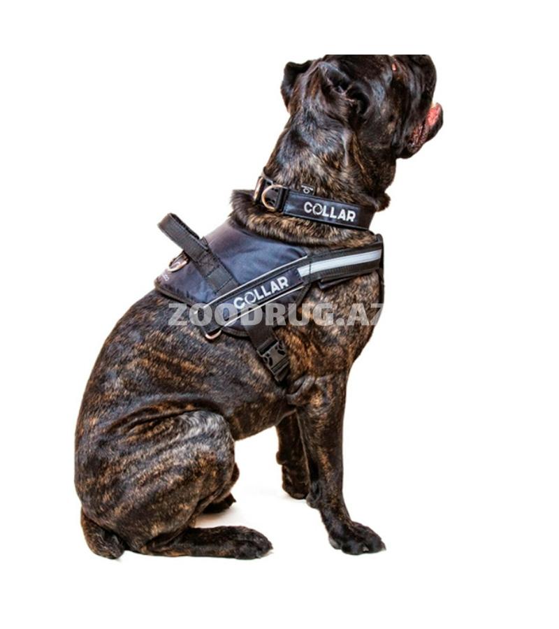 Шлея нейлоновая для собак Collar Dog Extremе Police №4 с фонариком черная 70-100 см