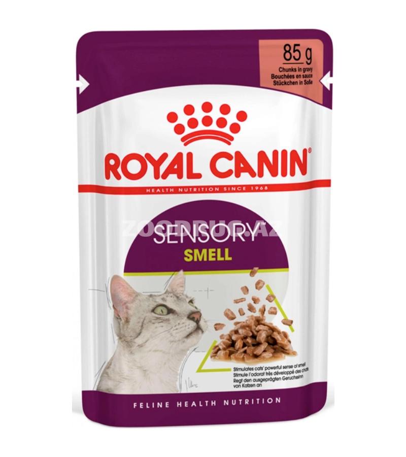 Влажный корм Royal Canin Smell in Jelly для взрослых кошек с курицей.