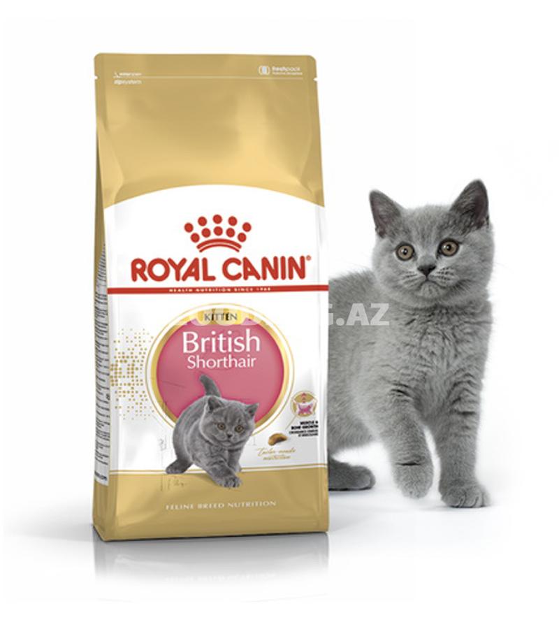 Сухой корм Royal Canin British Shorthair Kitten полнорационный сбалансированный для кошек - Специально для британских короткошерстных котят