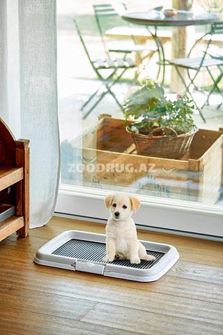 Туалет со столбиком для щенков Stefanplast PUPPY Training Set 40x60x4 cm