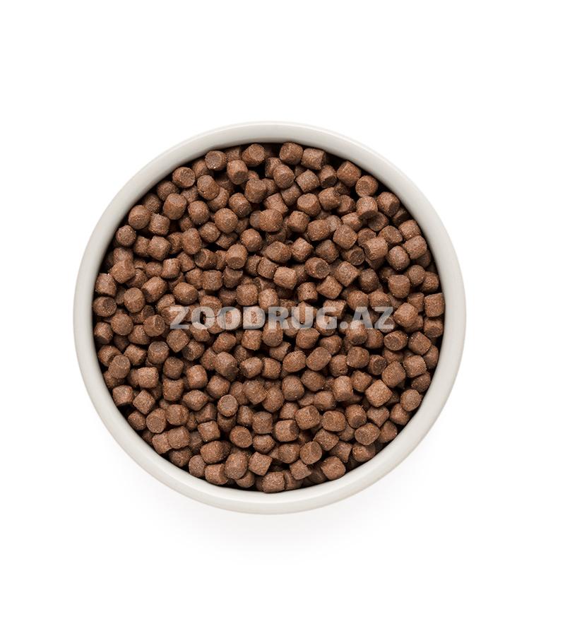 Сухой корм Grandorf Holistiс Hypoallergenic Dog Adult Mini 4 Meat Recipe (65% мяса) низкозерновой для взрослых собак маленьких пород, со вкусом ягненка, индейки, утки, кабана и бурого риса.