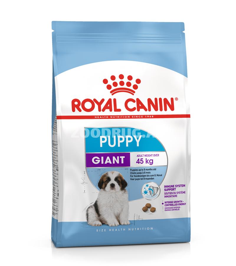 15 kq Royal Canin Giant Puppy quru yemi — böyüklərdə çəkisi 45 kq-dan çox olan nəhəng cins bala itlər üçün xüsusi hazırlanmış tam rasionlu quru yemdir.