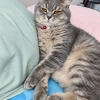 Nigar Düzgün